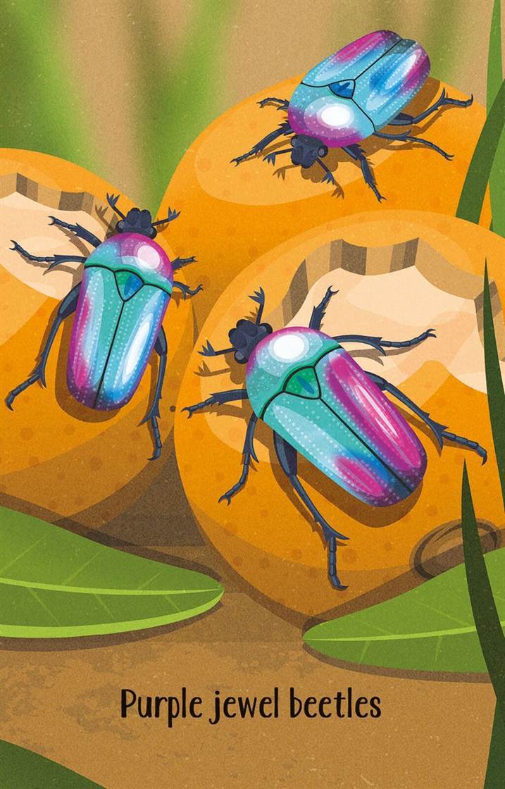 Usborne Bugs Snap Card Game
