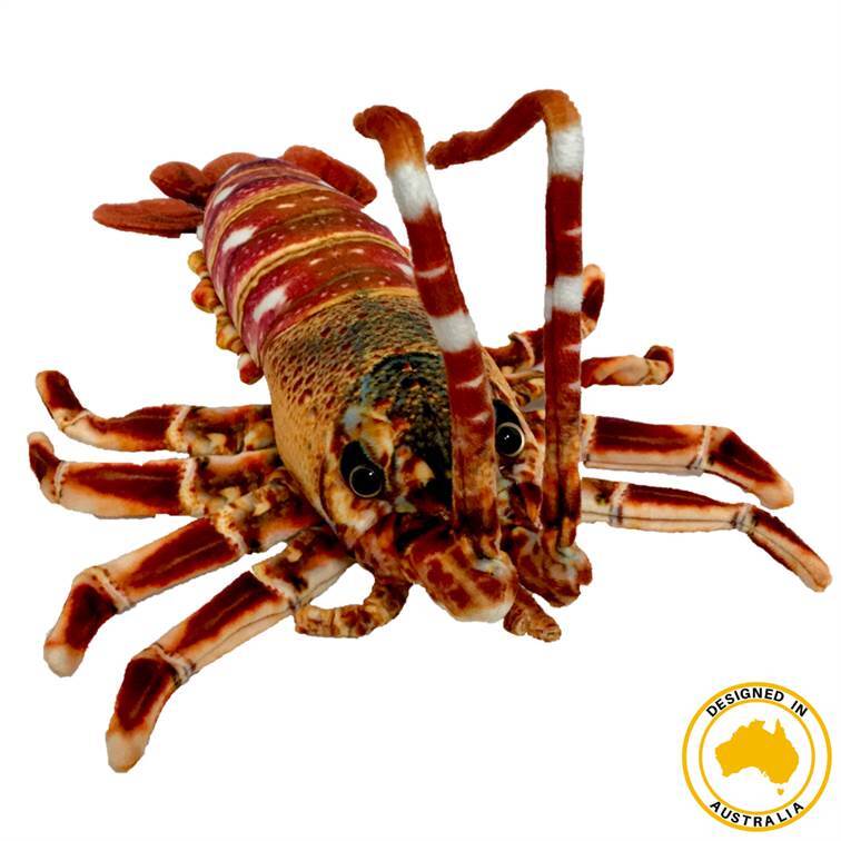 Corney Crayfish | Realistic plush toy
