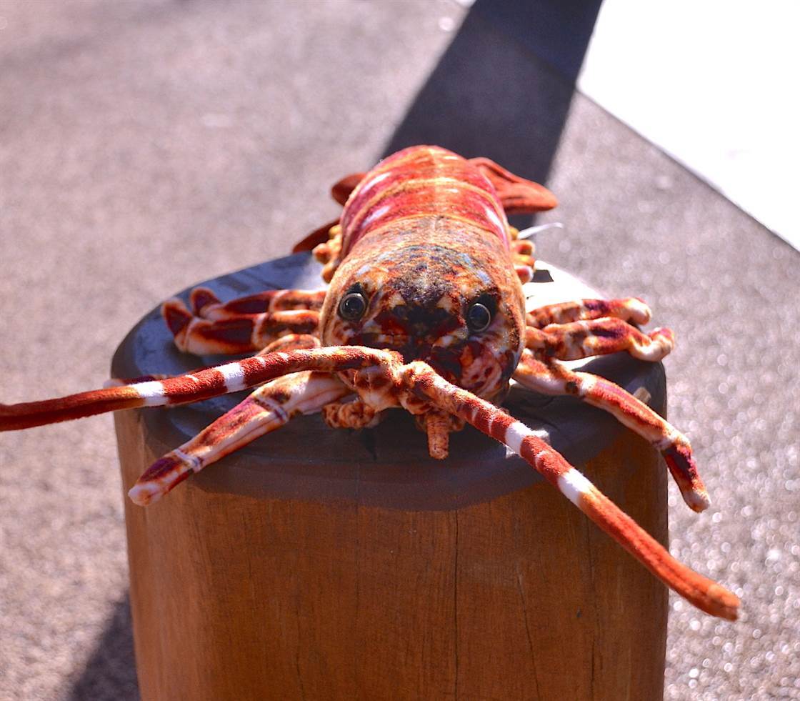Corney Crayfish | Realistic plush toy