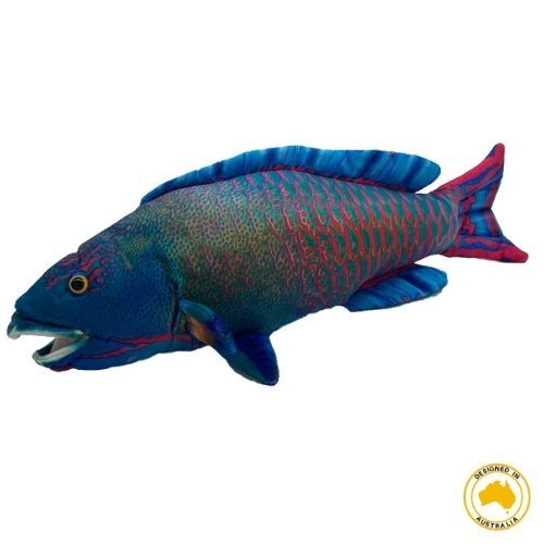 Polly Parrot Fish