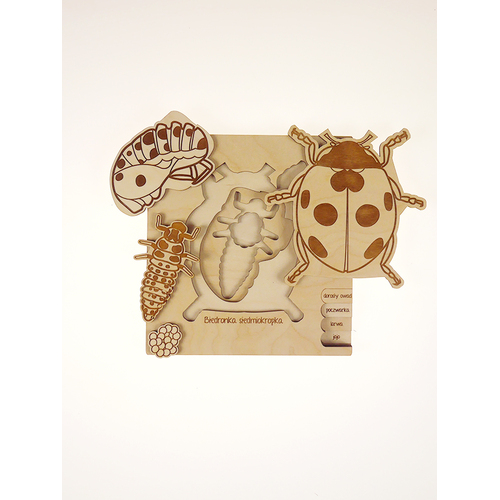 Stuka Puka Lady Bug Puzzle