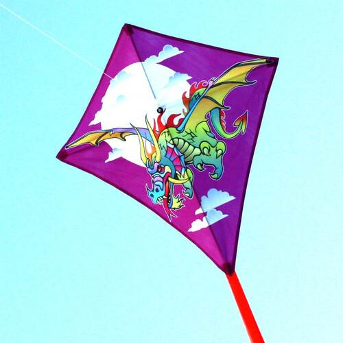 Ocean Breeze Fire Dragon Single Kite