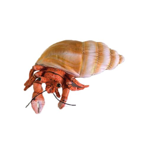 Huggable Toys Harvey Hermit Crab