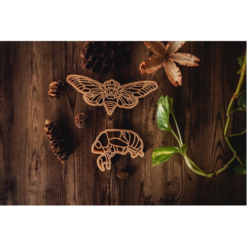 Cicada and Shell Eco Cutter Set