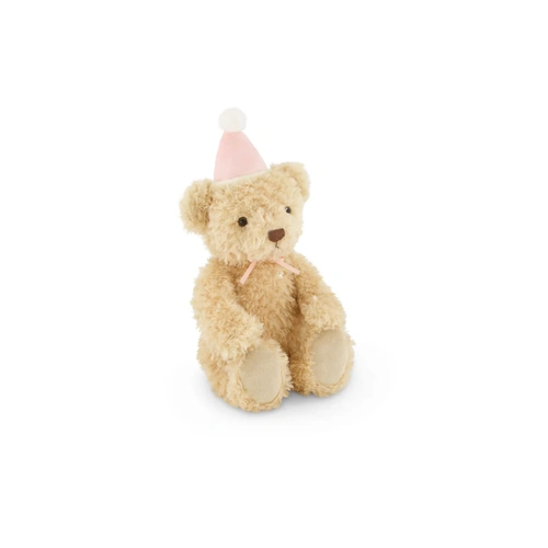 Arthur The Birthday Bear | Fairy