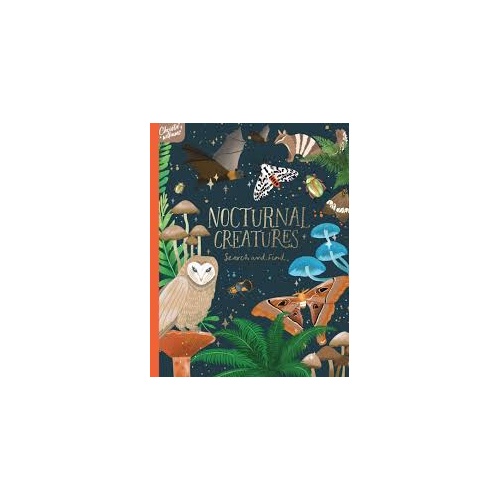 Nocturnal Creatures: Search And Find Hardback Book