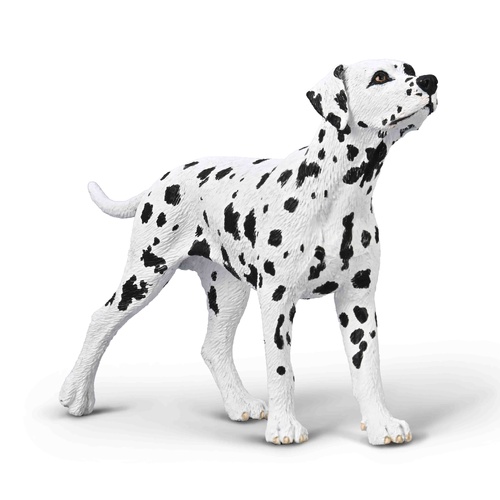 CollectA DALMATIAN (M)
