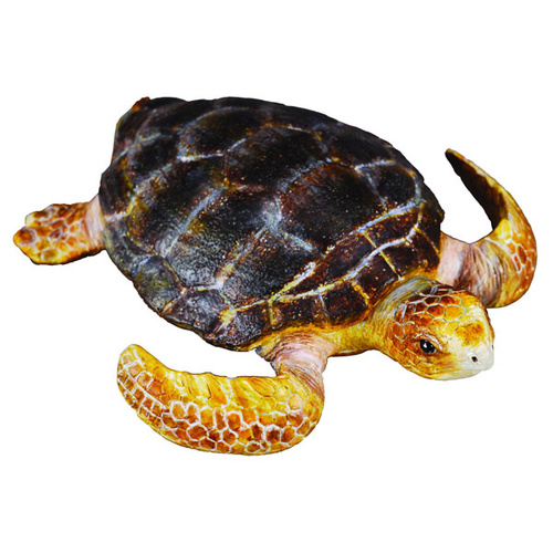 CollectA LOGGERHEAD TURTLE