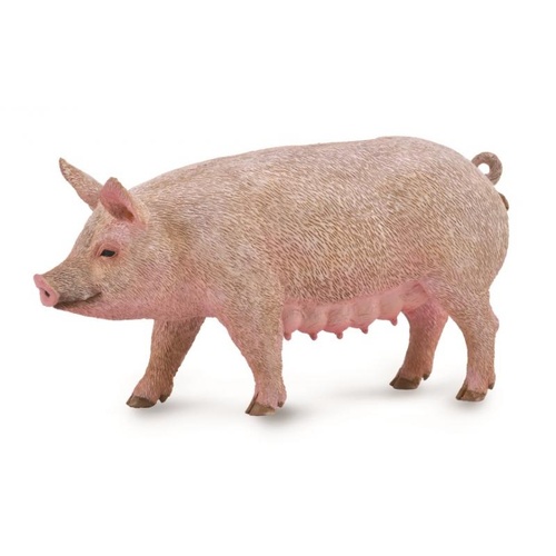 CollectA Pig Sow