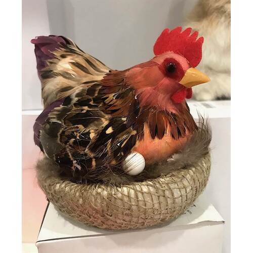 Small Tan Hen on a Nest